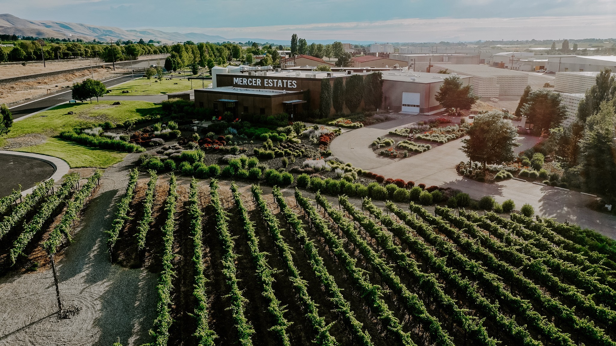 MERCER WINE ESTATES