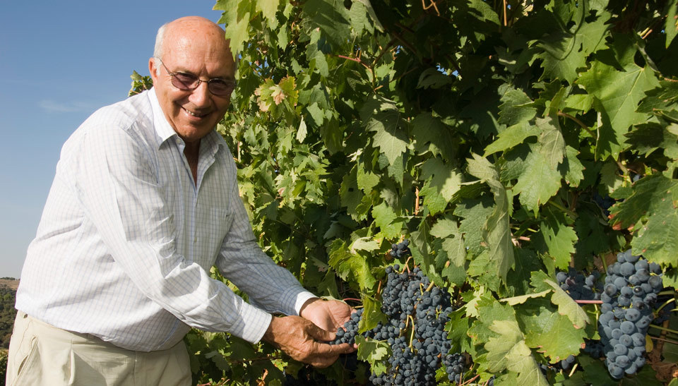 Manuel Fariña