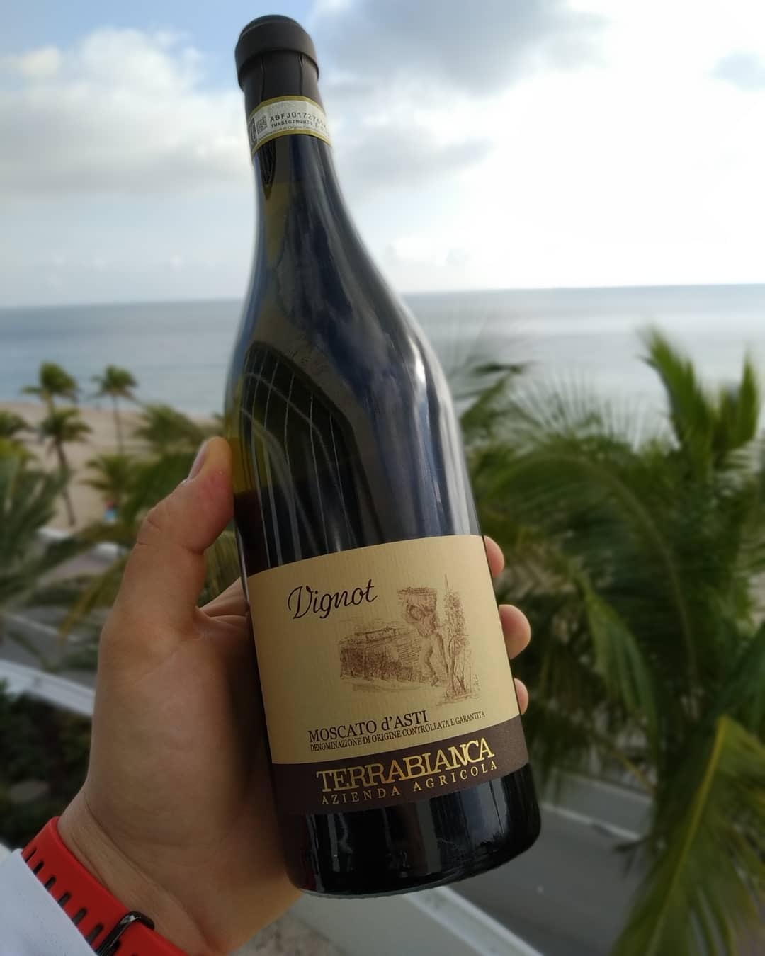 TERRABIANCA “VIGNOT” MOSCATO D'ASTI CANELLI DOCG 義大利泰拉畢安卡酒莊 ”維諾”蜜思嘉甜白葡萄酒
