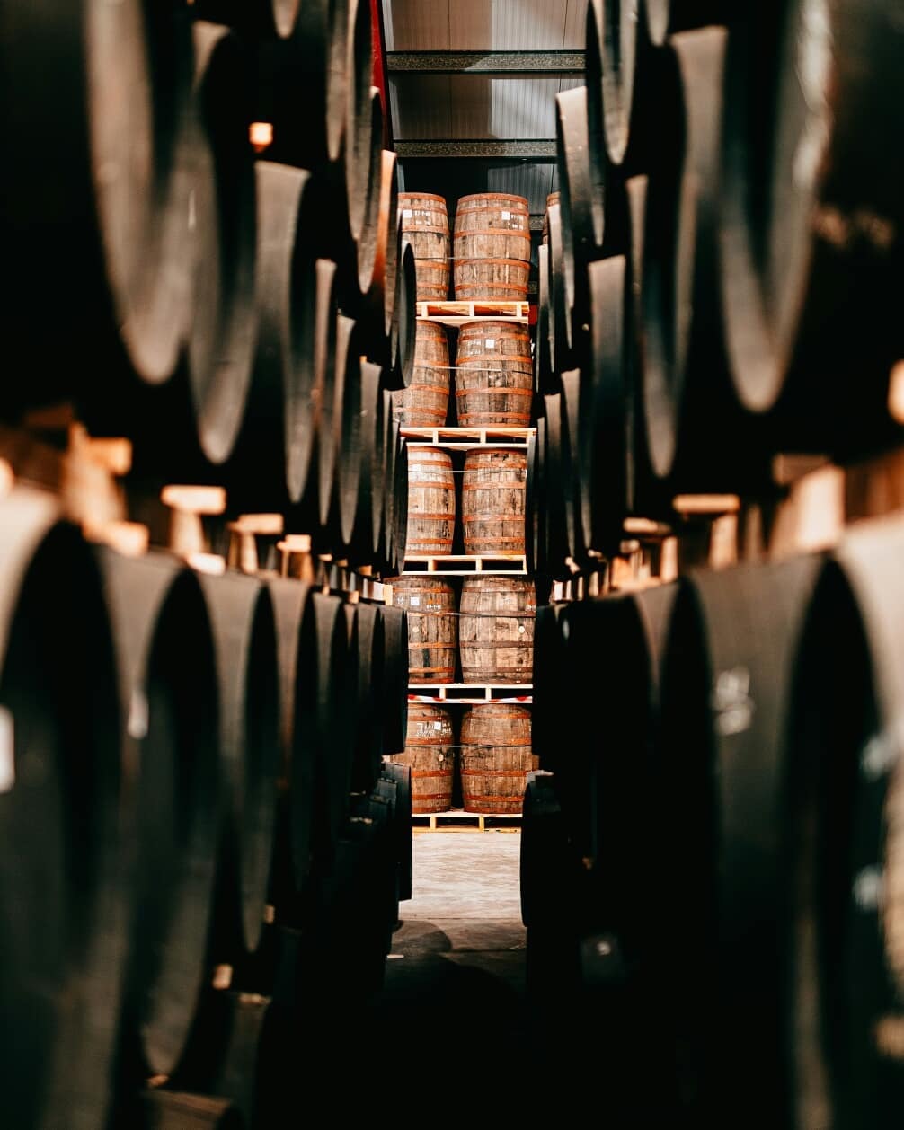 Dingle Distillery 愛爾蘭丁格爾釀酒廠