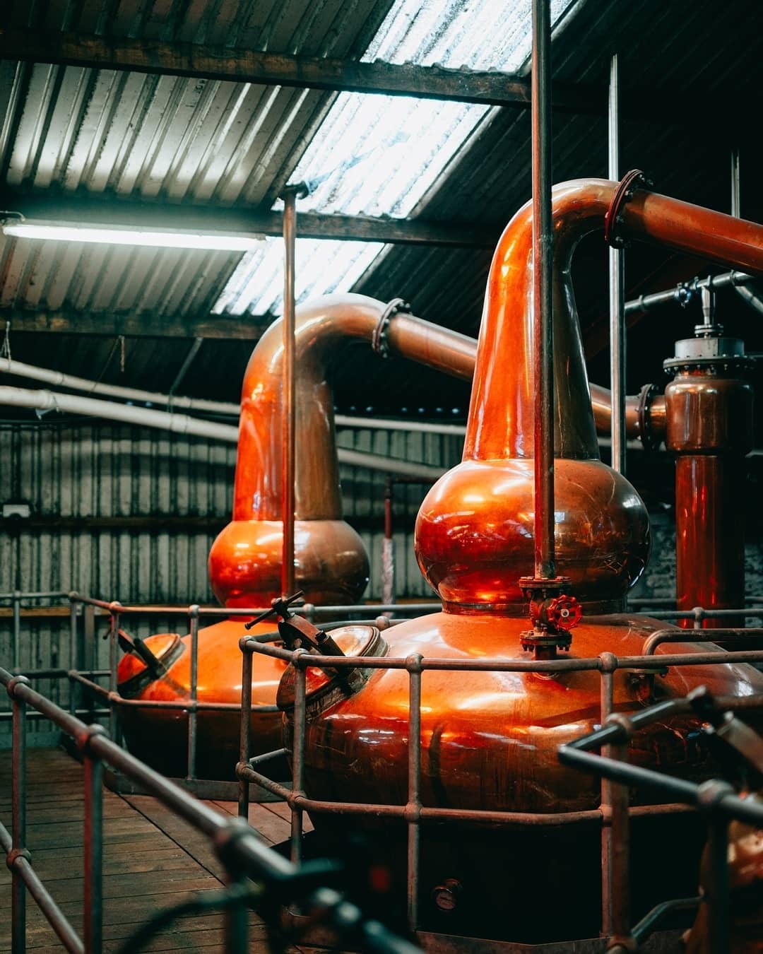 Dingle Distillery 愛爾蘭丁格爾釀酒廠
