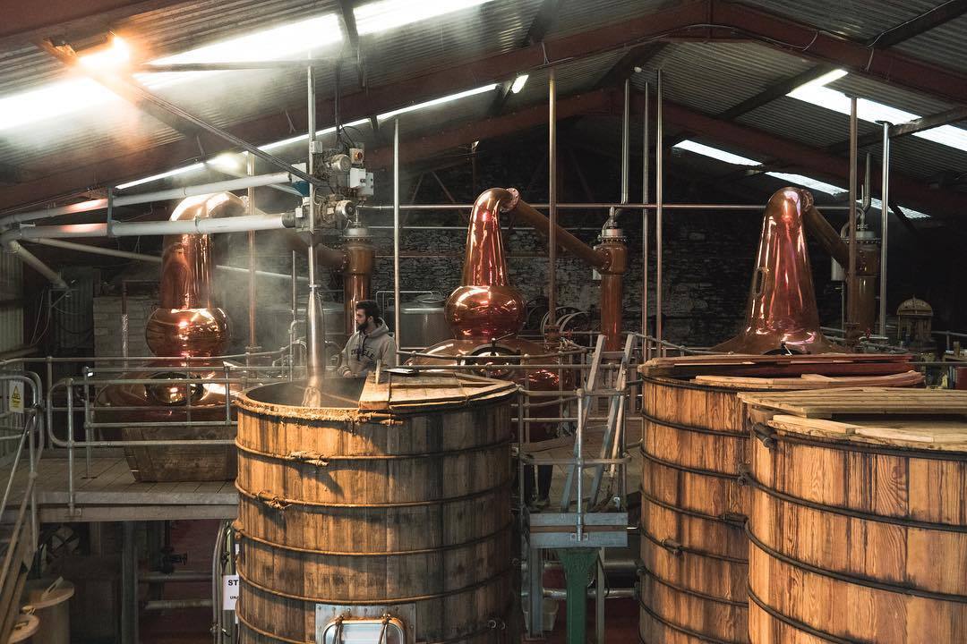 Dingle Distillery 愛爾蘭丁格爾釀酒廠