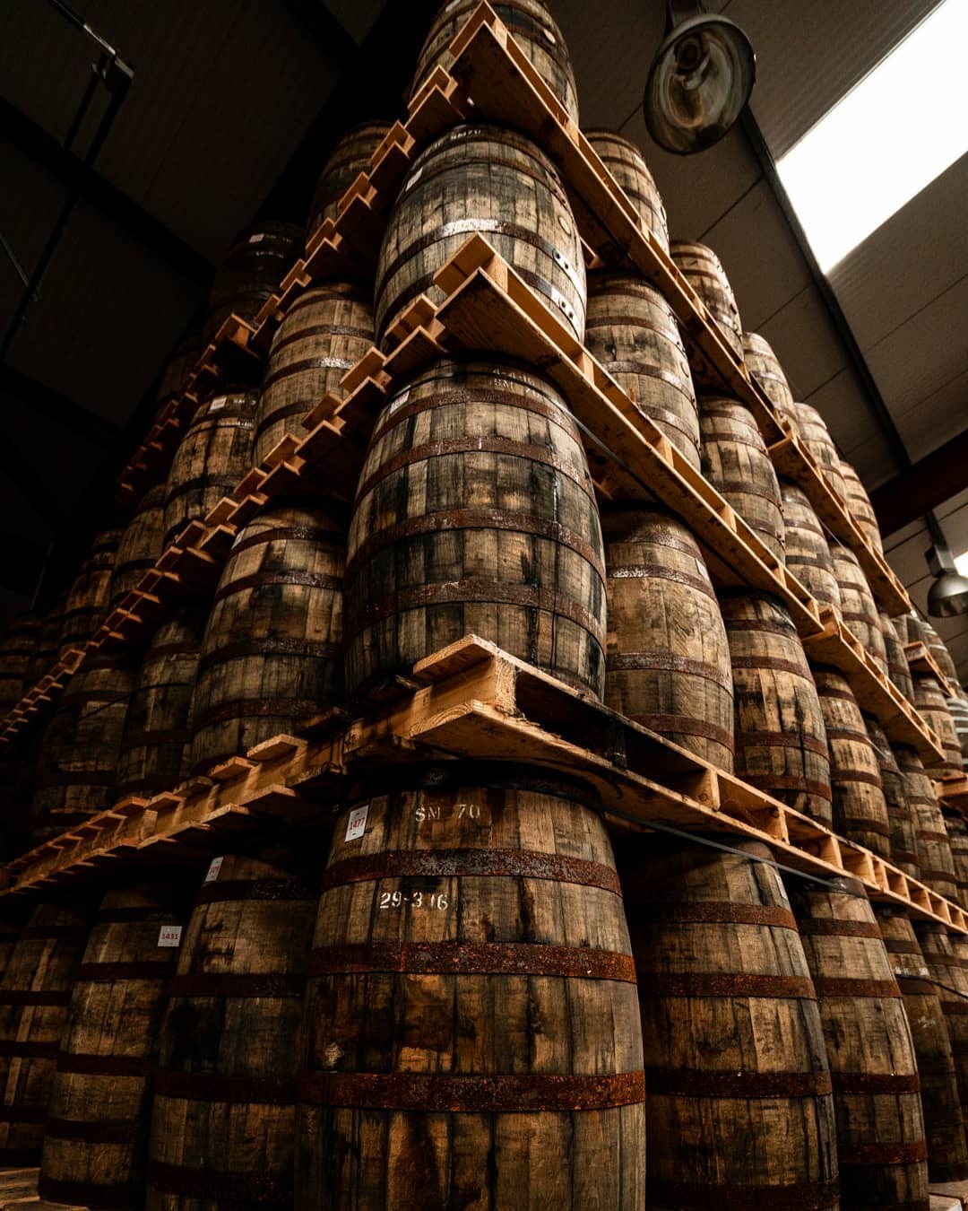 Dingle Distillery 愛爾蘭丁格爾釀酒廠
