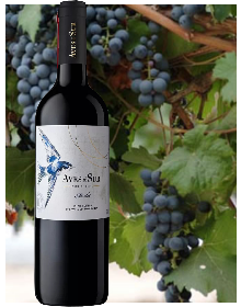 CV122 智利南方鳥系列梅洛特級紅葡萄酒