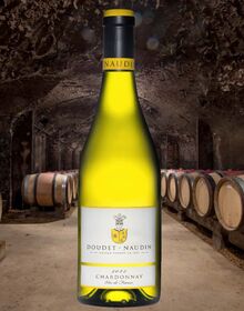 DN201 Chardonnay夏多內白葡萄酒