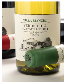 UM202 Villa Bianchi碧昂奇白葡萄酒